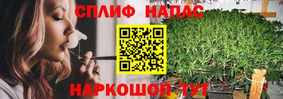 молекула духа Северобайкальск
