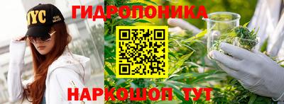хмурый Свободный