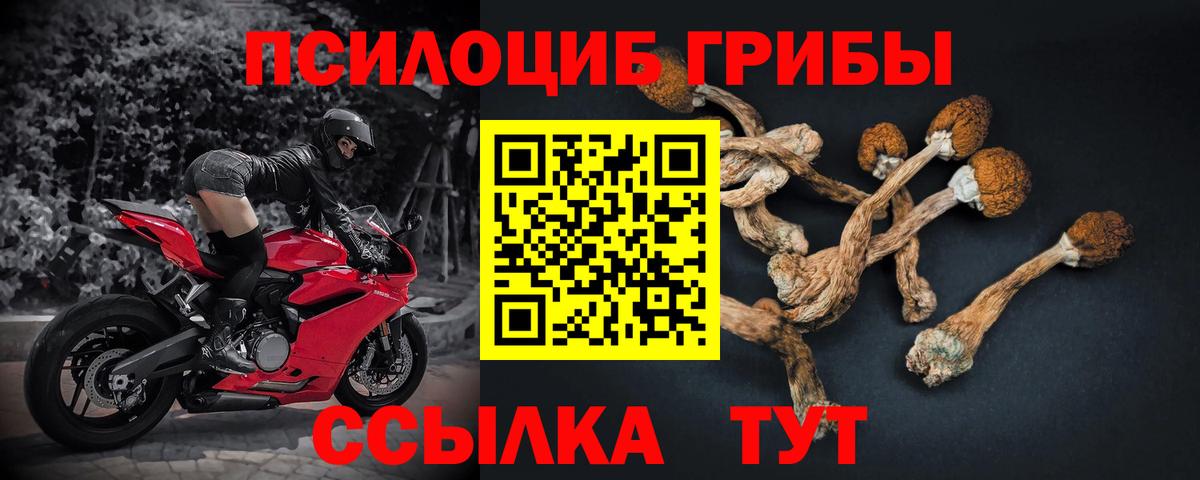 Псилоцибиновые грибы Cubensis  Вход с VPN  Галлюциногенные грибы мицелий  Соликамск 
